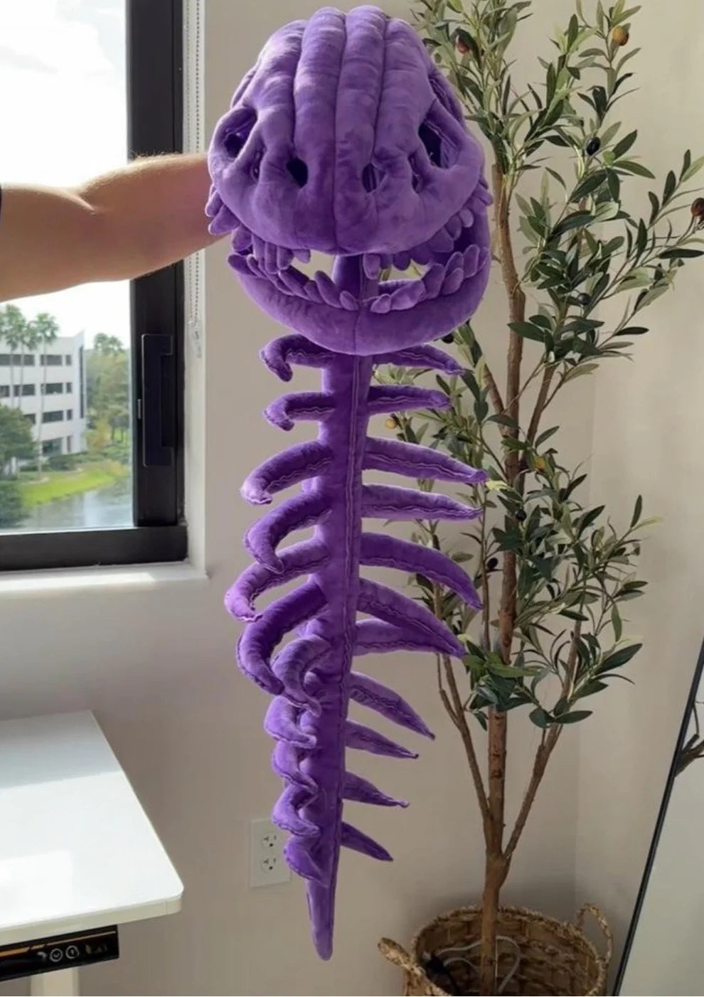 Dinosaur Snug